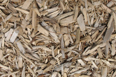 biomass boilers Rottingdean